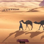 الثبيتي وش يرجع.. نسب عوائل الثبيتي في السعودية
