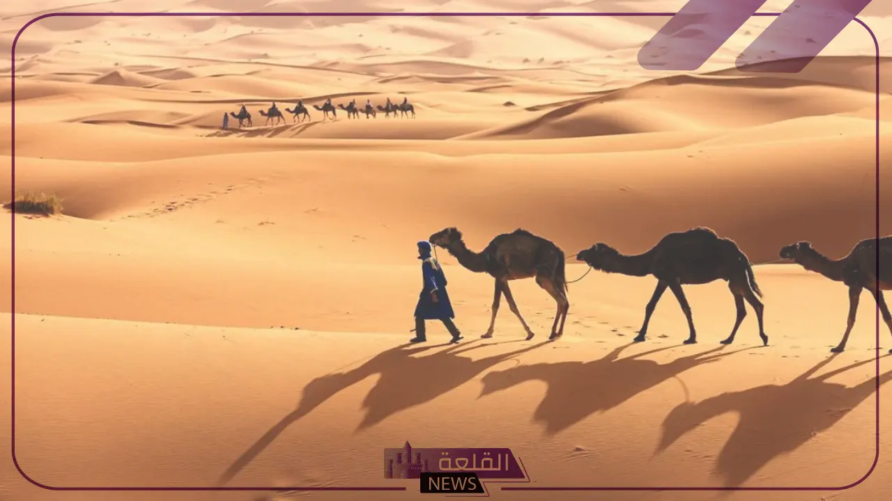 الثبيتي وش يرجع.. نسب عوائل الثبيتي في السعودية