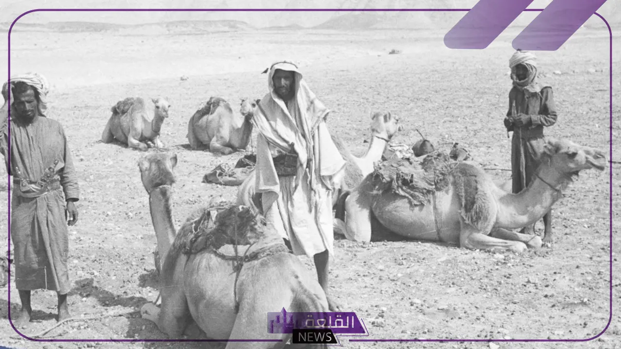 الحمدان وش يرجعون.. نسب وفروع قبيلة الحمدان من وين