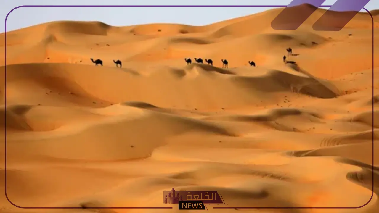 الدويش وش يرجعون.. أصل ونسب عائلة الدويش وش يرجع 5 قبيلة الدويش وش يرجعون