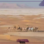 الزعبي وش يرجع.. شجرة عائلة الزعبي وفروعها