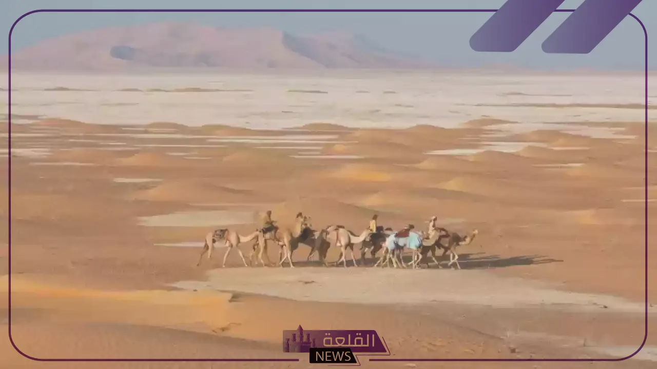 الزعبي وش يرجع.. شجرة عائلة الزعبي وفروعها