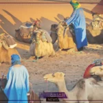 السالمي وش يرجع.. رمز قبيلة السالمي وديرتهم