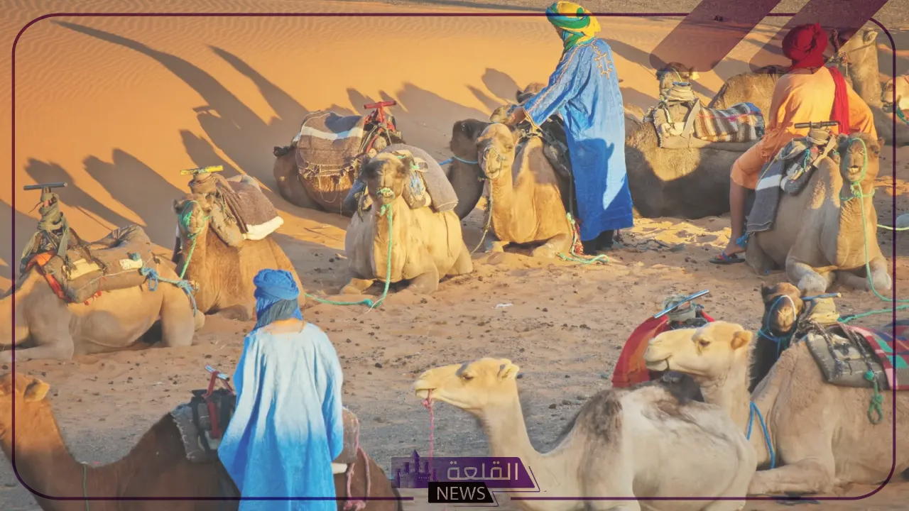 السالمي وش يرجع.. رمز قبيلة السالمي وديرتهم