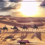 السفياني وش يرجع.. شجرة عائلة السفياني وديرتهم