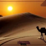 الكناني وش يرجع.. نسب وأصل قبيلة الكناني من وين