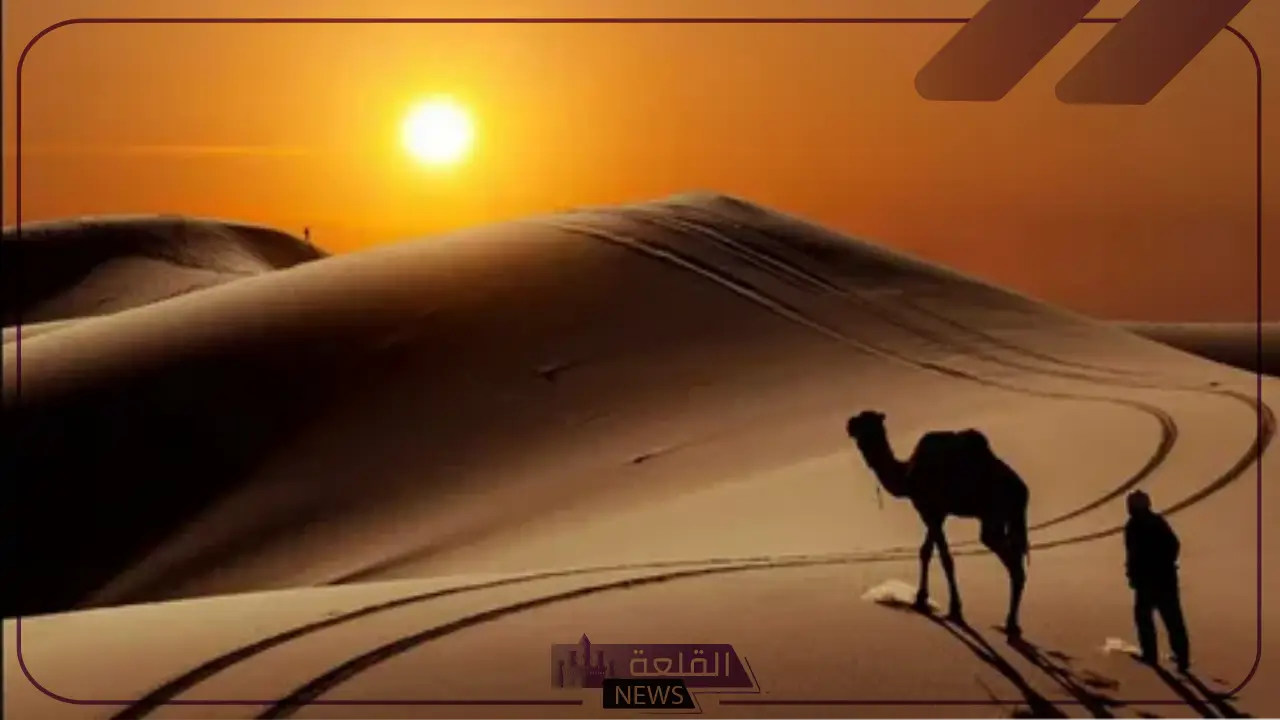 الكناني وش يرجع.. نسب وأصل قبيلة الكناني من وين