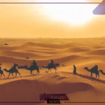 الموسى وش يرجعون.. عائلة الموسى من وين يرجعون