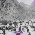 التميمي وش يرجع.. أصل قبيلة التميمي من وين