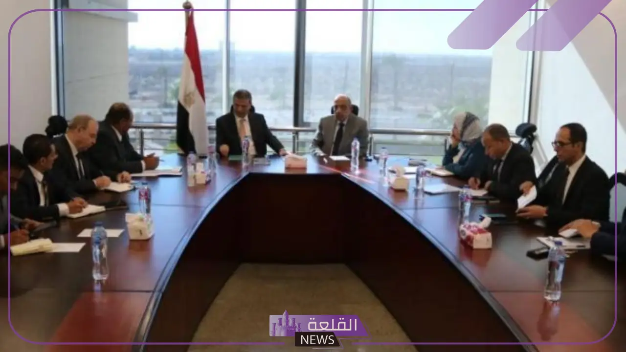 وزارة الكهرباء.. قرار بالتعاون مع وزارة الزراعة لطرح مبادرة خلية شمسية على كل مزرعة