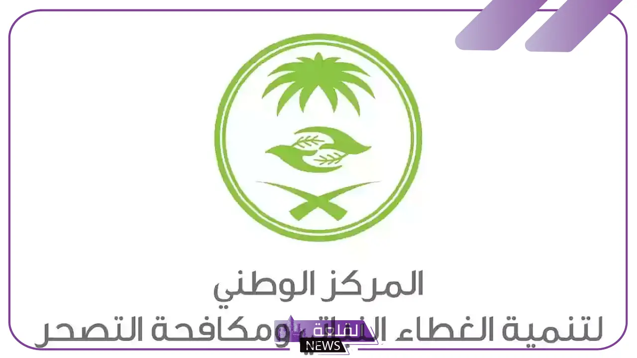 مركز تنمية الغطاء.. الإعلان عن مخالفة وغرامة جديدة في حالة ارتكاب هذه المخالفة 5 إجراءات جديدة من مركز تنمية الغطاء: عقوبات وغرامات على المخالفات