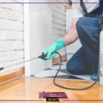 أصحاب التقييم الأعلى .. أفضل شركات مكافحة حشرات داخل جدة 2024