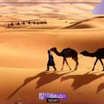 العطاوي وش يرجع.. عائلة العطاوي من وين