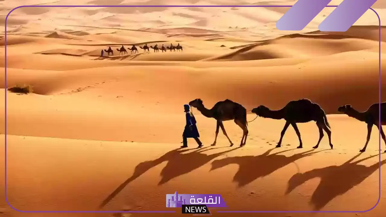 العطاوي وش يرجع.. عائلة العطاوي من وين