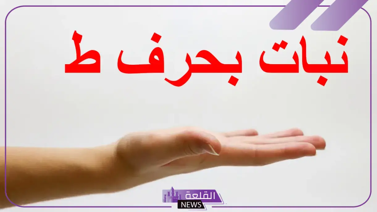 نبات بحرف الطاء.. اكتشف 10 نباتات تبدأ بحرف الطاء