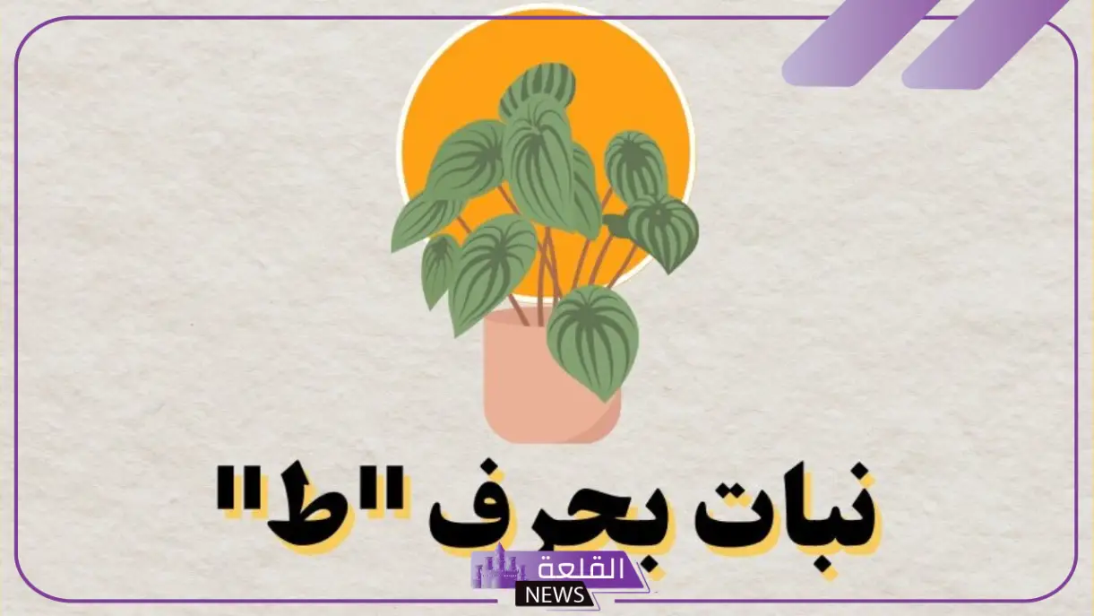 نبات بحرف الطاء.. اكتشف 10 نباتات تبدأ بحرف الطاء 5 أسرار النباتات بحرف الطاء: تعرف على 10 أنواع مدهشة