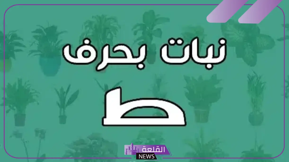 نبات بحرف الطاء.. اكتشف 10 نباتات تبدأ بحرف الطاء 6 دليل النباتات: 10 أنواع تبدأ بحرف الطاء