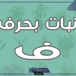 نبات بحرف الفاء.. أسماء نباتات تبدأ بحرف الفاء