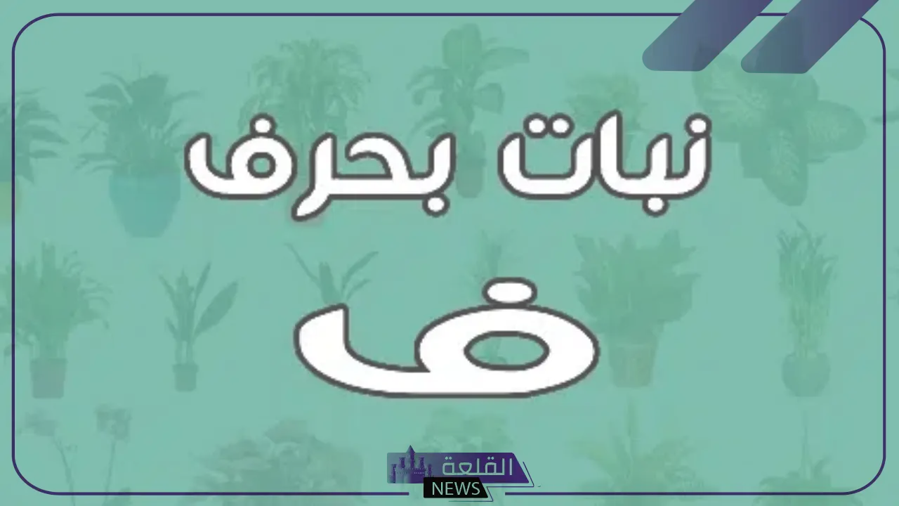 نبات بحرف الفاء.. أسماء نباتات تبدأ بحرف الفاء