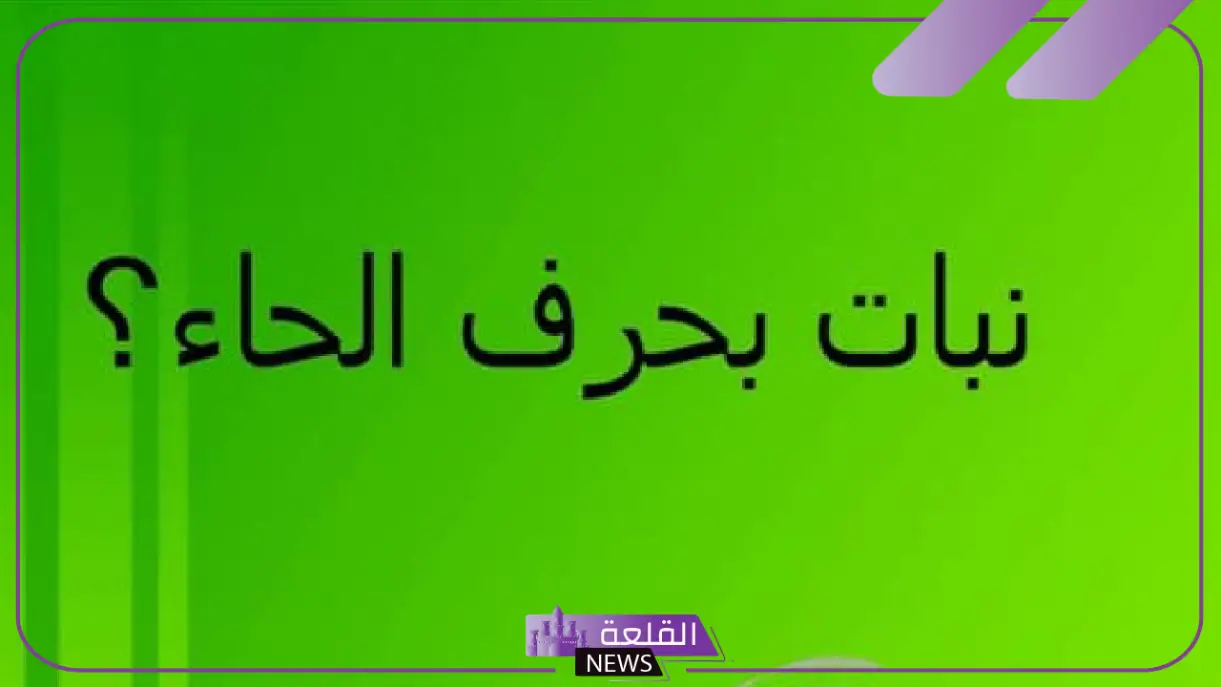 نبات بحرف ح.. 11 إسم نبات يبدأ بحرف الحاء 6 أشهر أسماء نباتات تبدأ بحرف ح