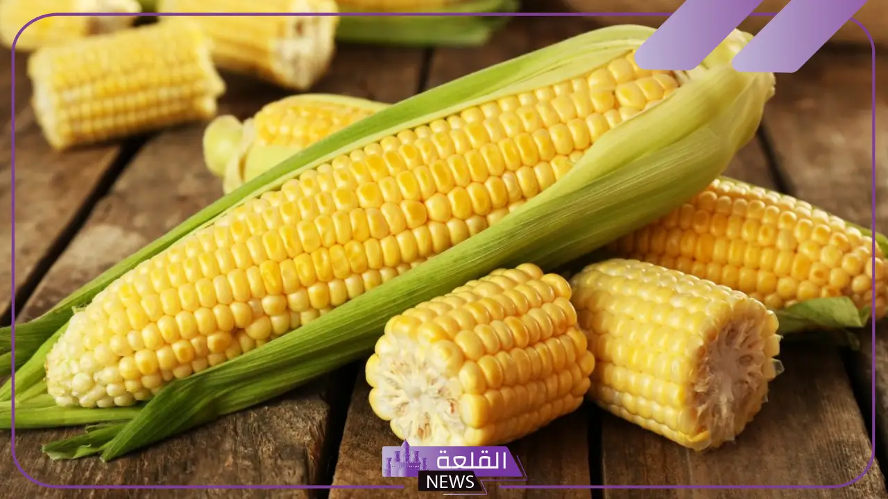 نبات بحرف ذ.. 5 نباتات تبدأ بحرف الذال