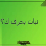 نبات بحرف ك.. أشهر نباتات تبدأ بحرف الكاف