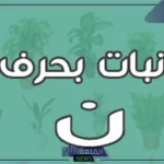 نبات بحرف ن.. أسماء نباتات تبدأ بحرف نون