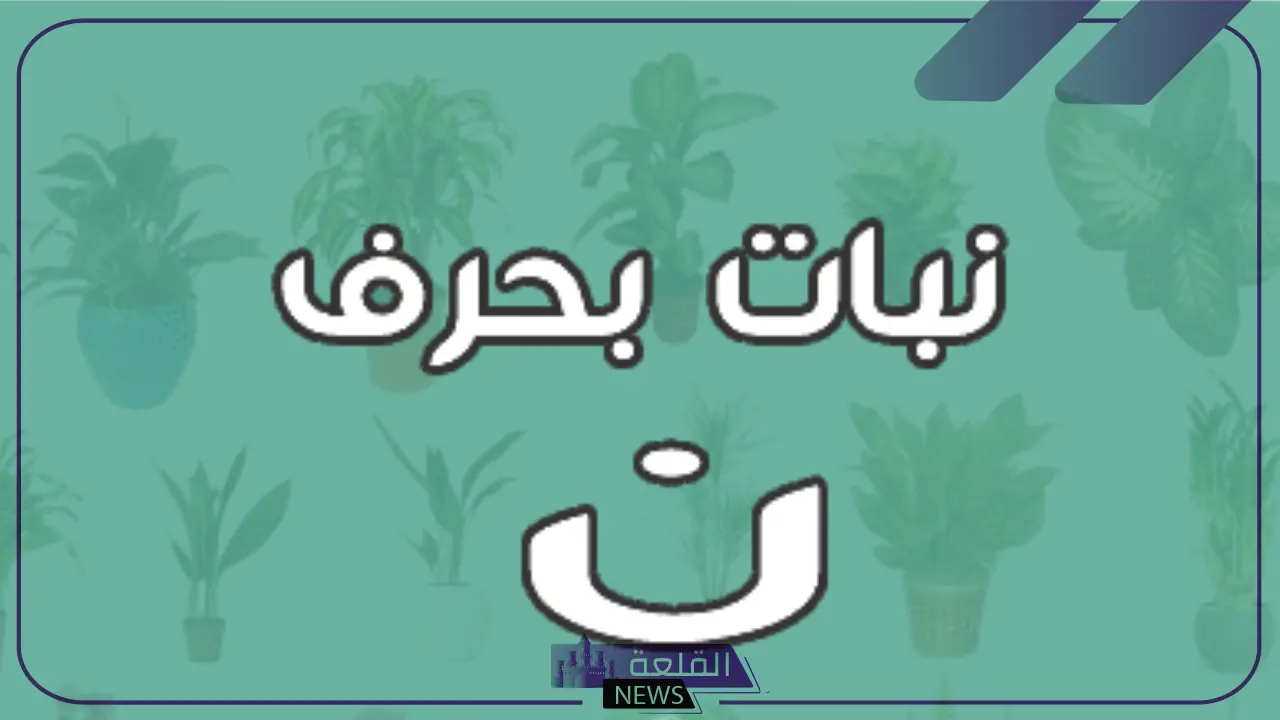 نبات بحرف ن.. أسماء نباتات تبدأ بحرف نون