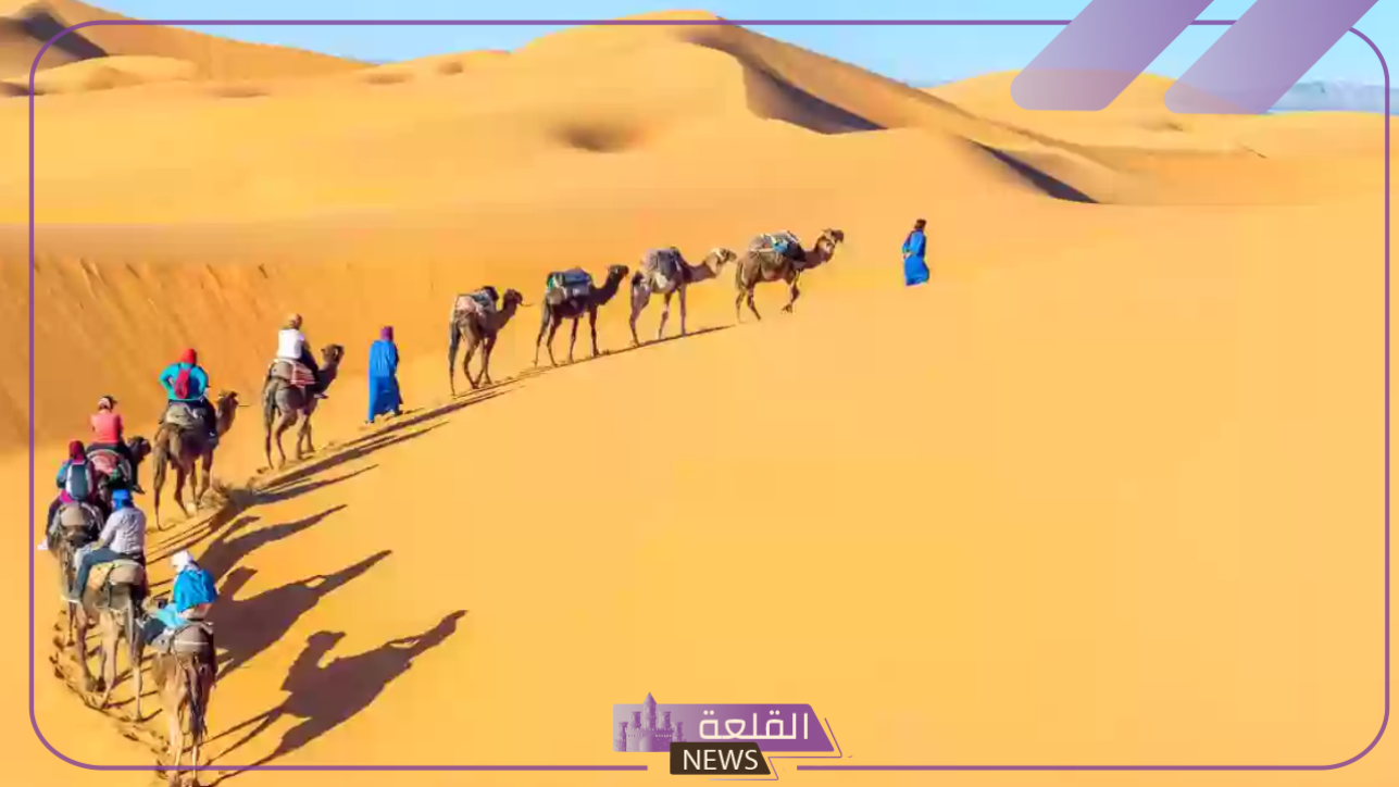 النفيعي وش يرجع.. أصل النفيعي وش يعود؟ 5 أصل النفيعي وش يعود؟ اكتشف ذلك