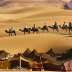 الحربي وش يرجع.. فروع وبطون ونسب قبيلة الحربي