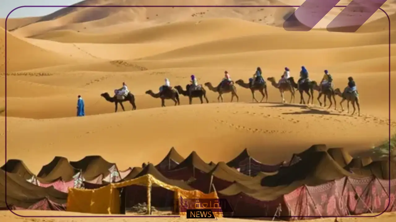 الحربي وش يرجع.. فروع وبطون ونسب قبيلة الحربي