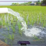 هيئة المياه.. إصدار غرامات بقيمة مليون ريال وأكثر بشأن 24 مليون مخالف