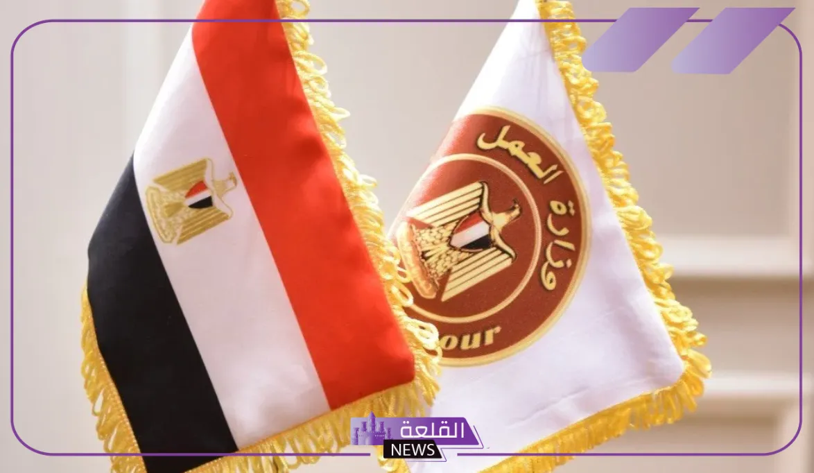 قدم الآن.. وظائف وفرص عمل في وزارة العمل المصرية برواتب مجزية
