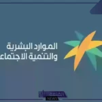 الموارد البشرية.. تعديلات جديدة على نظام العمل في مجال التأهيل والتدريب