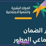تجنب ارتكابها.. أساب تحذر منها وزارة الموارد البشرية لتفادي إيقاف دعم الضمان