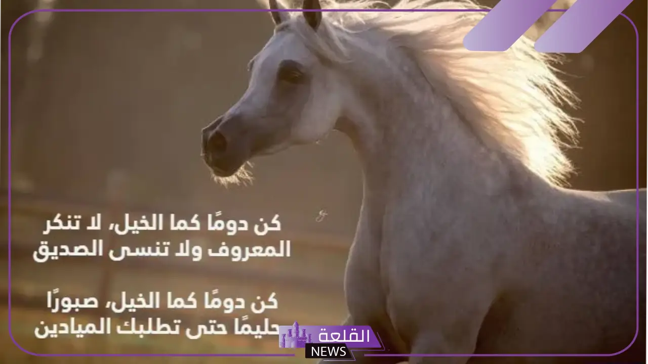 عبارات عن الخيل قصيرة.. كلمات في حب الخيل 5 عبارات في حب الخيل
