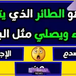 أسئلة دينية قصيرة وأجوبتها.. أسئلة إسلامية للأطفال