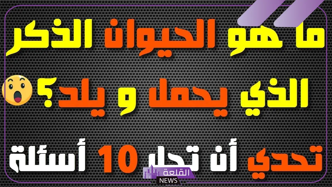 اسئلة عن الحيوانات سهلة للأطفال والكبار.. أقوى الأسئلة عن عالم الحيوان 2024 5 أسئلة متنوعة عن عالم الحيوان