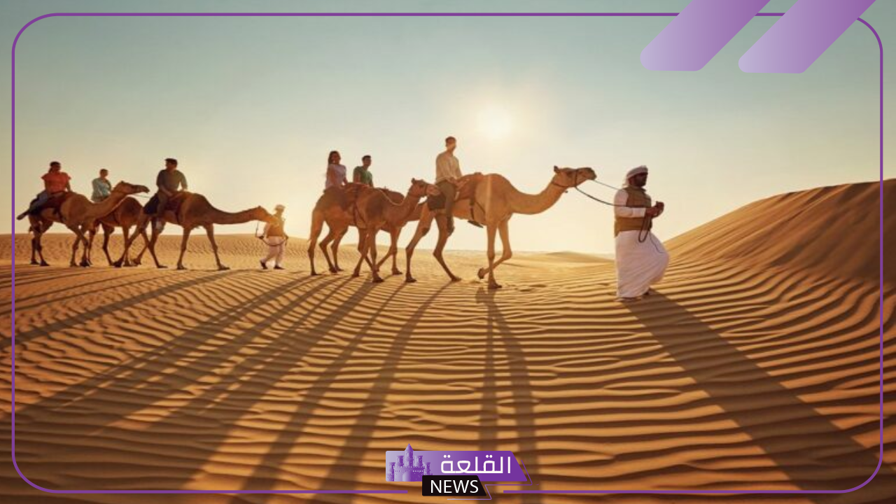 البكري وش يرجع.. أصل ونسب قبيلة البكري