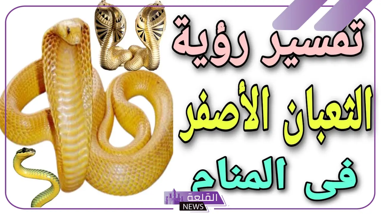 تفسير حلم الثعبان الاصفر في المنام يلدغني لابن سيرين
