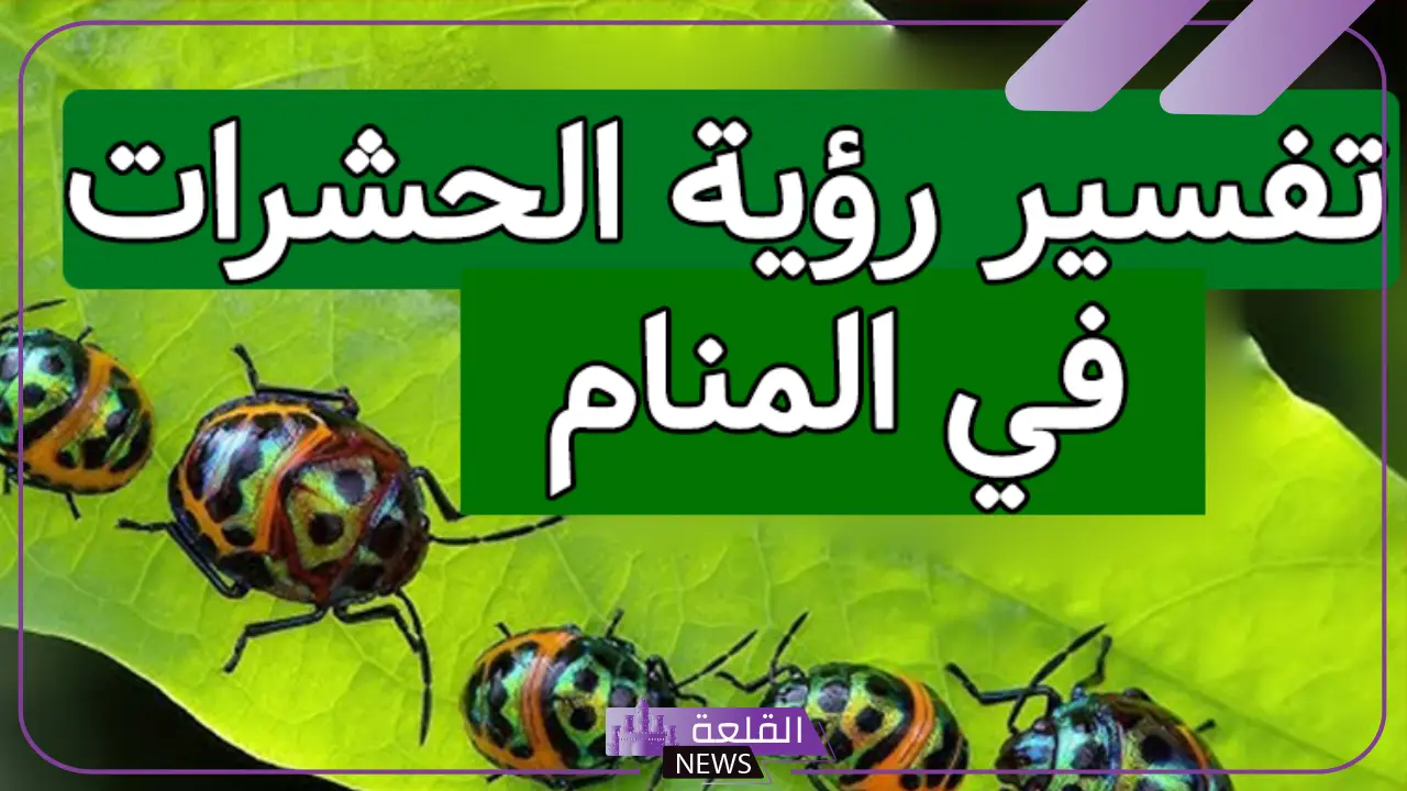 تفسير حلم الحشرات في منام المتزوجة لابن سيرين
