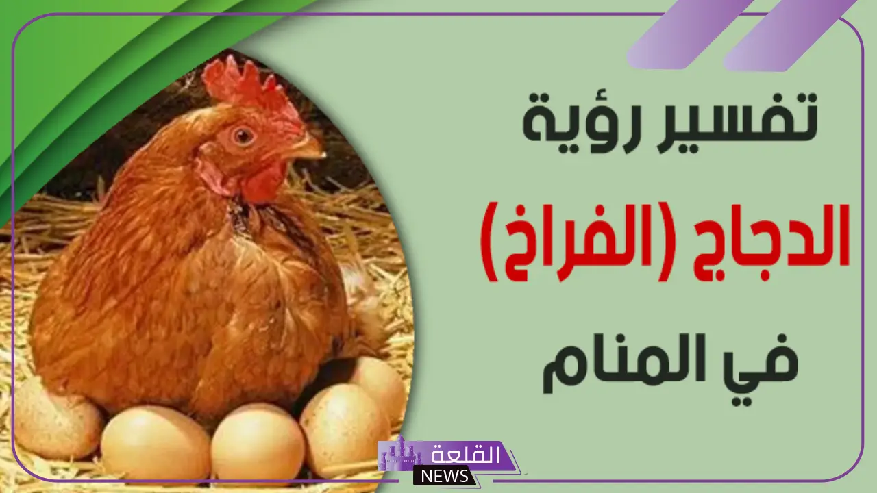 تفسير رؤية الدجاج في المنام لابن سيرين.. دلالة رؤية الدجاج 5 معنى رؤية حلم الدجاج في المنام
