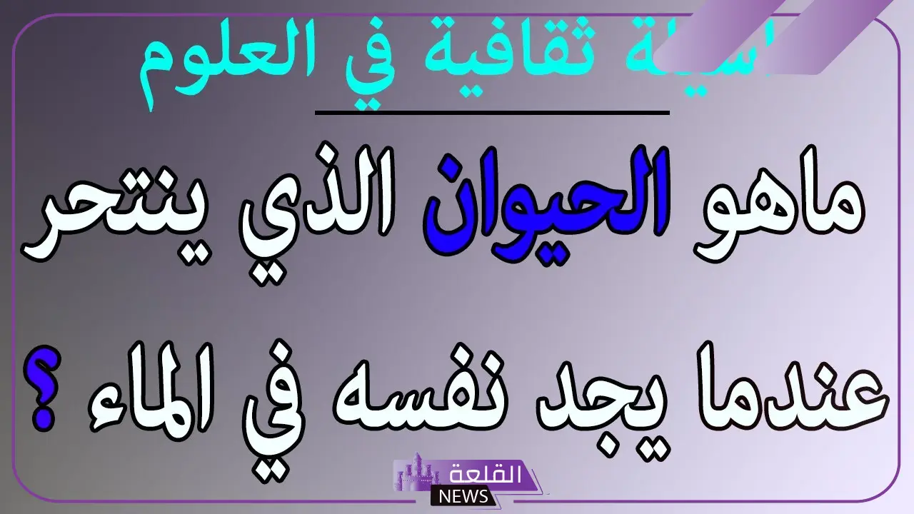 اسئلة ثقافية متنوعة سهلة وصعبة مع الإجابات 2024 5 اسئلة ثقافية جديدة