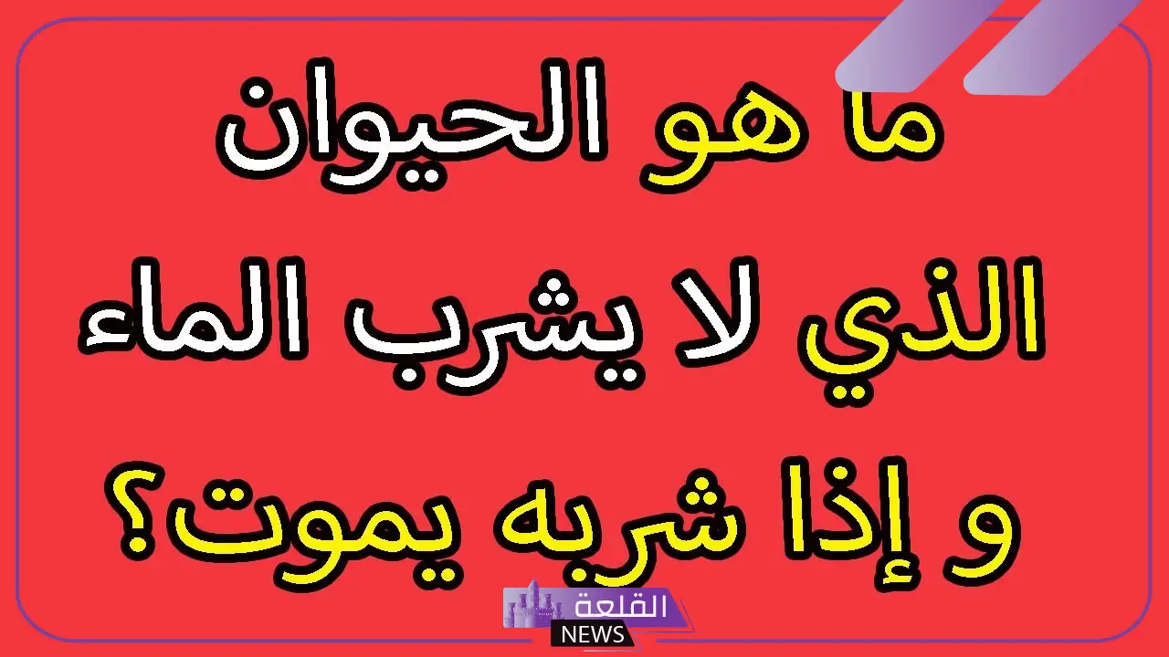 اسئلة عن الحيوانات سهلة للأطفال والكبار.. أقوى الأسئلة عن عالم الحيوان 2024 6 أبرز الأسئلة عن الحيوانات