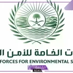 الأمن البيئي.. غرامات مالية كبيرة على كل من يقتلع الأشجار داخل السعودية