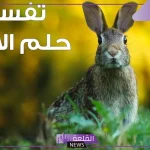 تفسير حلم الارنب في المنام.. رمز الأرنب في الحلم لابن سيرين