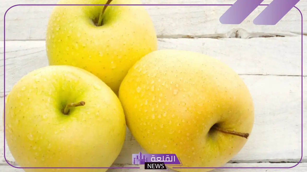 تفسير حلم اكل التفاح في المنام للعزباء و للمتزوجة لابن سيرين تفسير حلم اكل التفاح في المنام للعزباء و للمتزوجة لابن سيرين