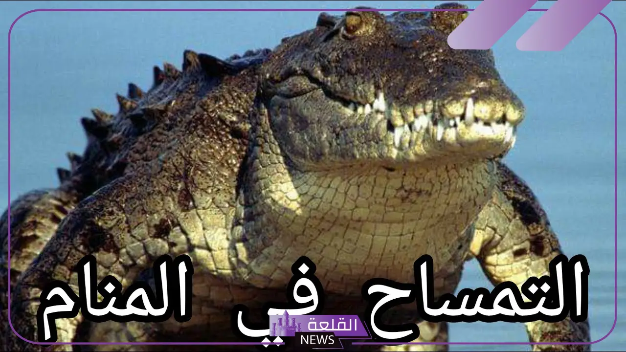 تفسير حلم التمساح للمتزوجة والمطلقة في المنام لابن سيرين 5 النجاة من التمساح في المنام للمتزوجة