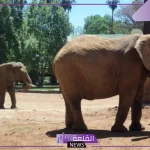 لا يفوتك.. أجمل 7 حدائق داخل المدينة المنورة 2024