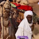 الدواسر وش يرجعون.. فروع عائلة الدوسري